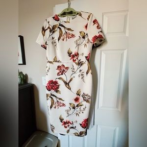 Collection of 8 sheath dresses - size 10